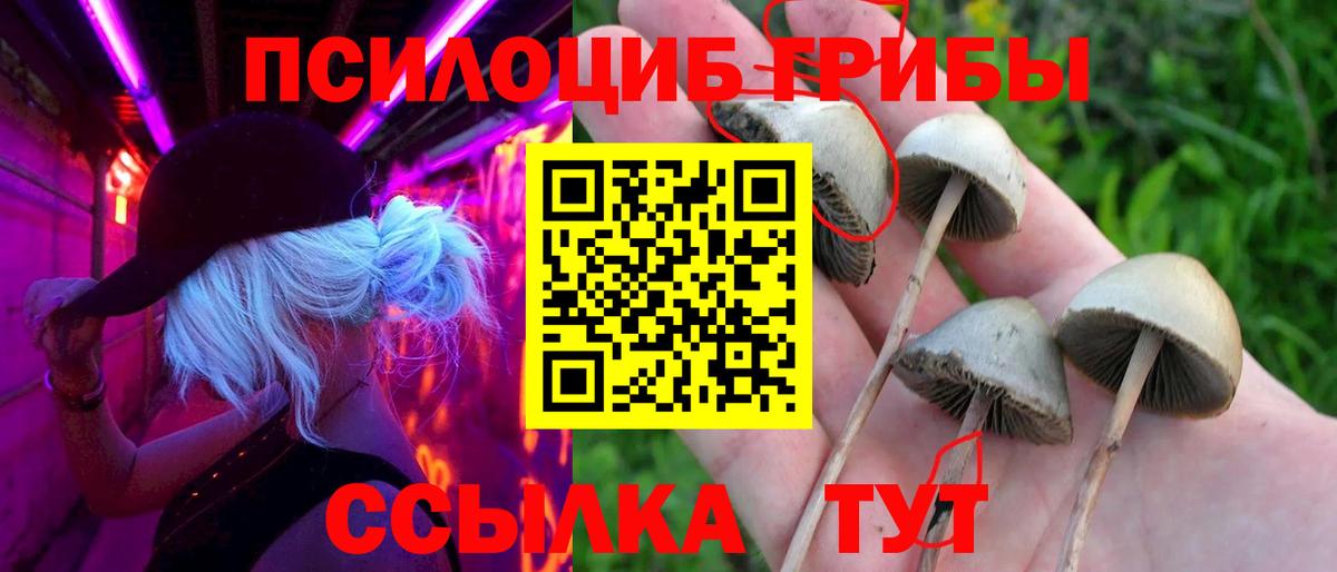 как найти закладки  Галлюциногенные грибы Cubensis  Вход с VPN  Дюртюли 